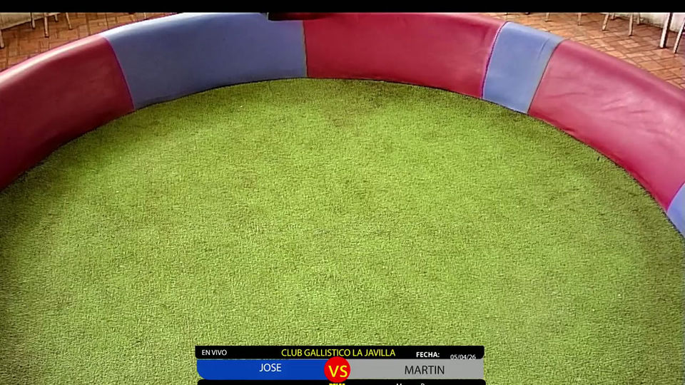 Mi transmisión en vivo